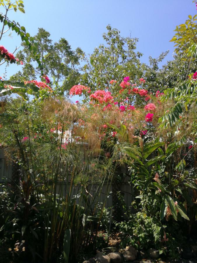 Casa Bali Verde Uvita Zewnętrze zdjęcie